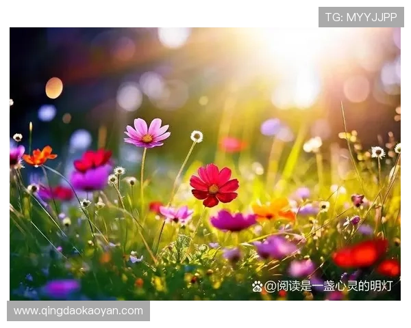 云开如一场洗礼，让心灵得到净化，迎来新的希望与机遇