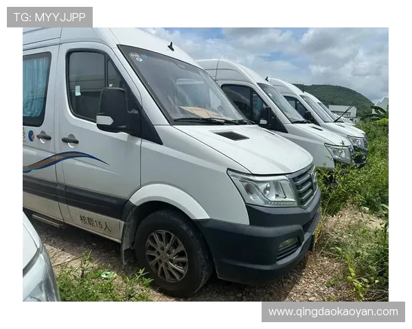 亚星网址导航大全，快速找到你想要的亚星相关服务和内容