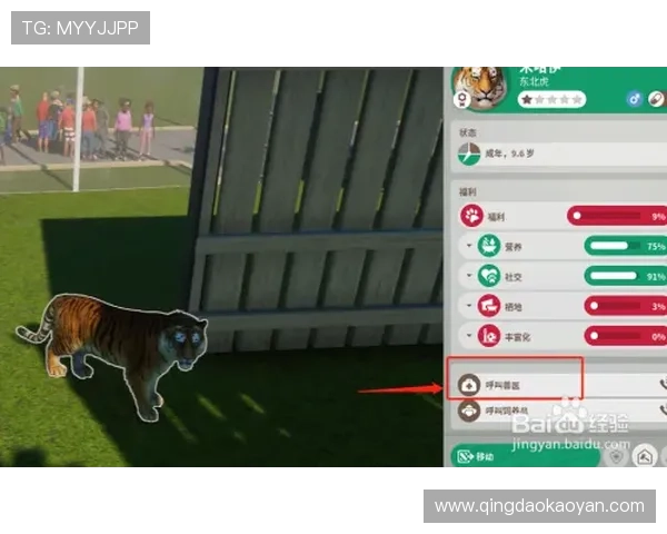 亚星游戏登录正网平台官网入口常见问题解答及登录流程详细步骤介绍