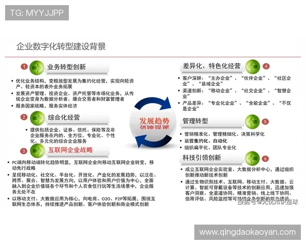 亚星管理网助力企业高效管理实现数字化转型的最佳平台推荐