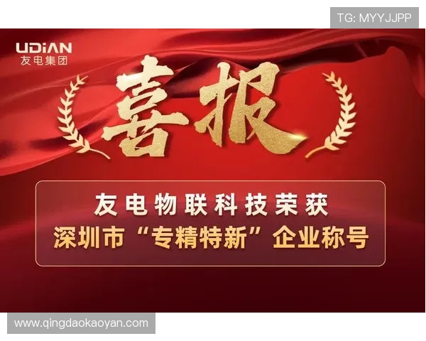 k8凯发·国际用户反馈与成功案例分享，提升新用户的信心与选择意愿